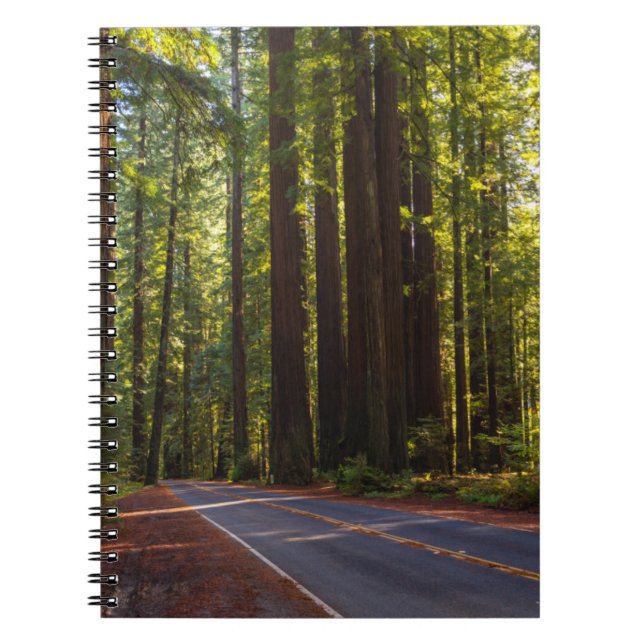 Carnet Avenue de séquoia géant la Californie (Devant)