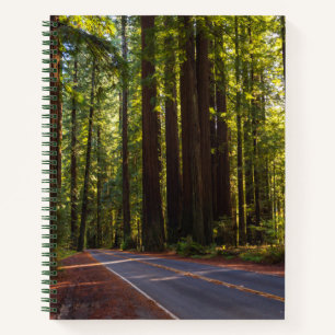 Carnet Avenue du séquoia géant Californie