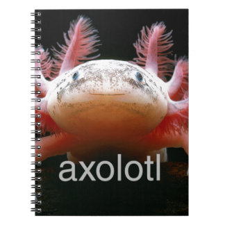 Carnet Axolotl d'Axolotl d'Axolotl d'Axolotl