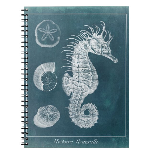 Carnet Azure Seahorse Study I (Devant)