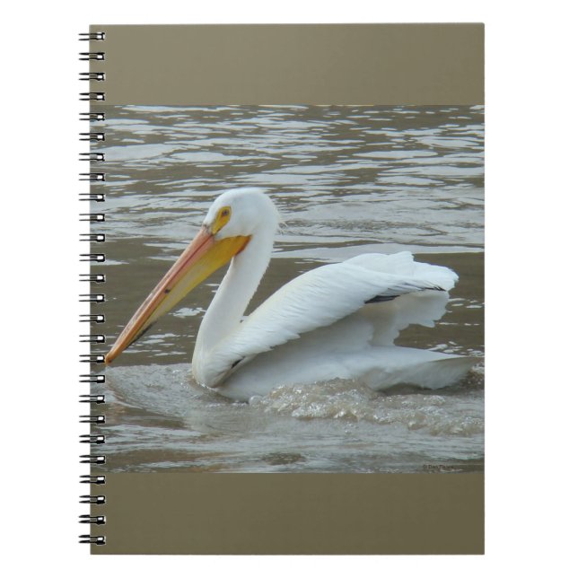 Carnet B14 Pélican blanc sur la rivière boueuse (Devant)