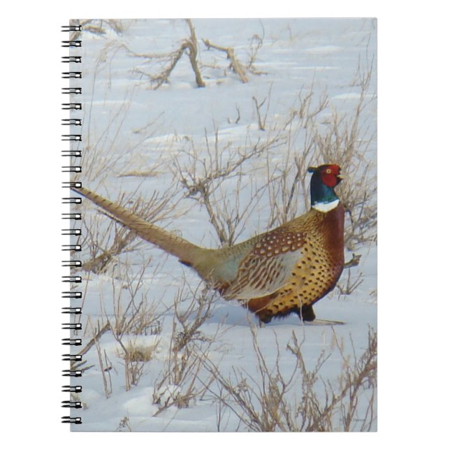 Carnet B22 Faisant à cou cerf en neige (Devant)