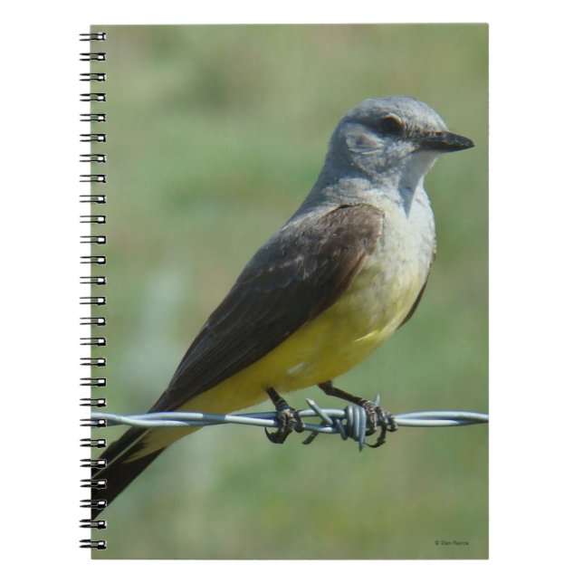 Carnet B31 Kingbird occidental (Devant)