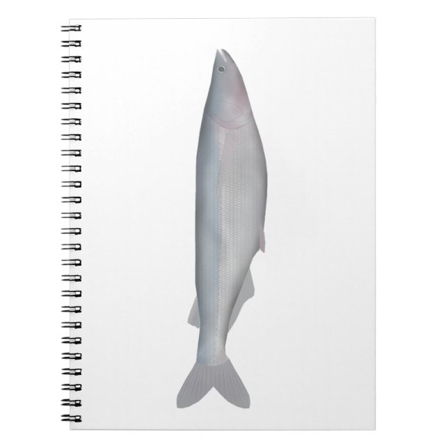 Carnet Baboso (Devant)