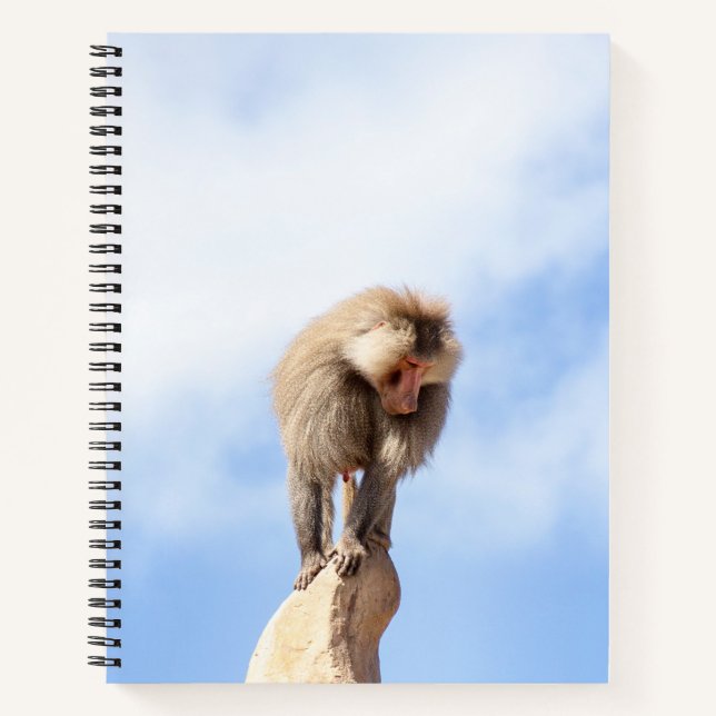 Carnet Babouin singe au sommet d'une montagne (Devant)