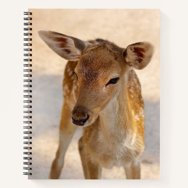 Carnet Baby Deer (Devant)
