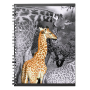 Carnet Baby Giraffe