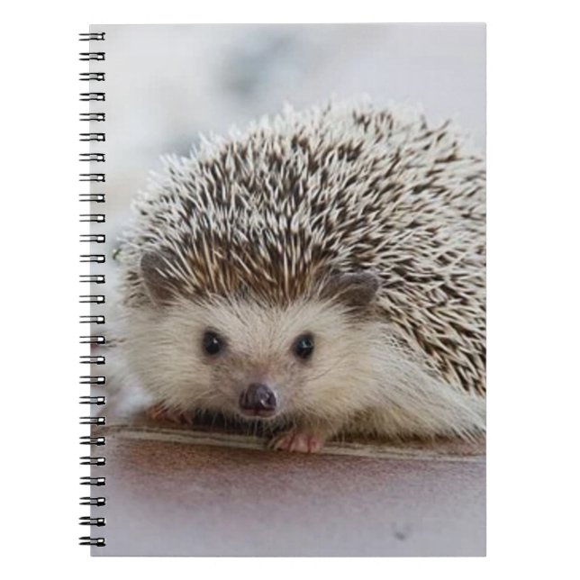 Carnet Baby hedgehog (Devant)