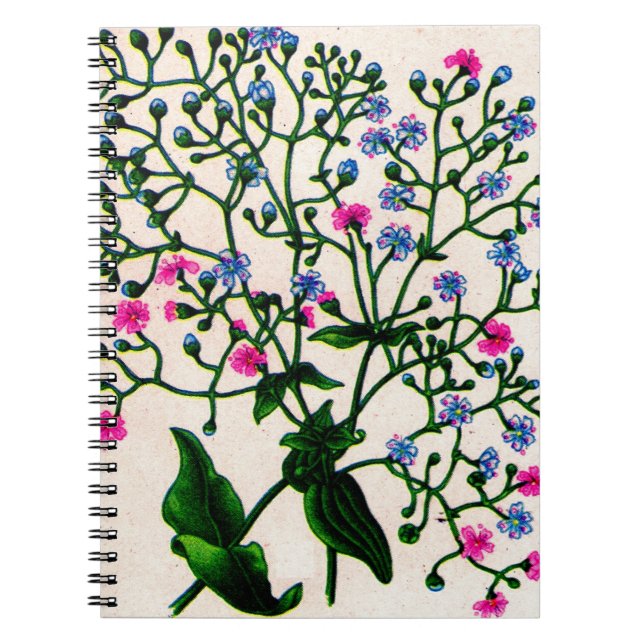 Carnet baby's breath gypsophila (Devant)