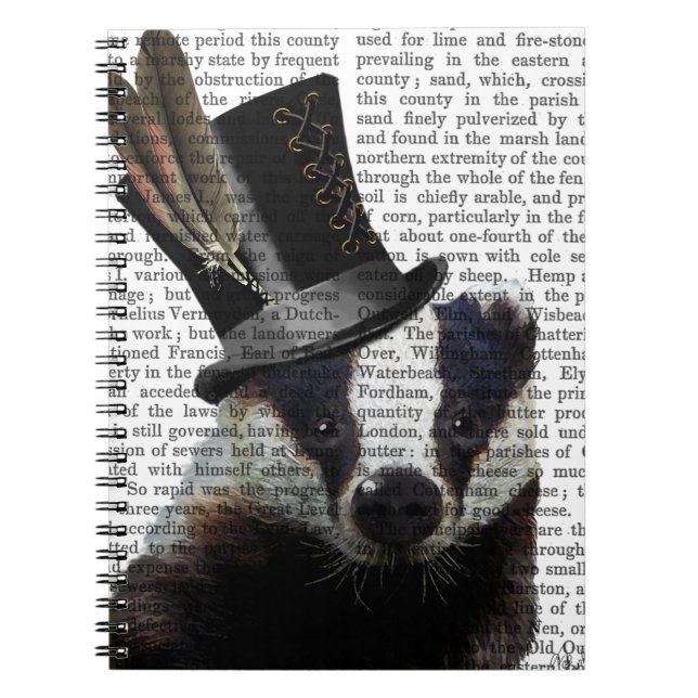 Carnet Badger de Steampunk dans le chapeau supérieur (Devant)