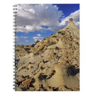 Carnet Badlands du parc provincial Dinosaur en Alberta, 3