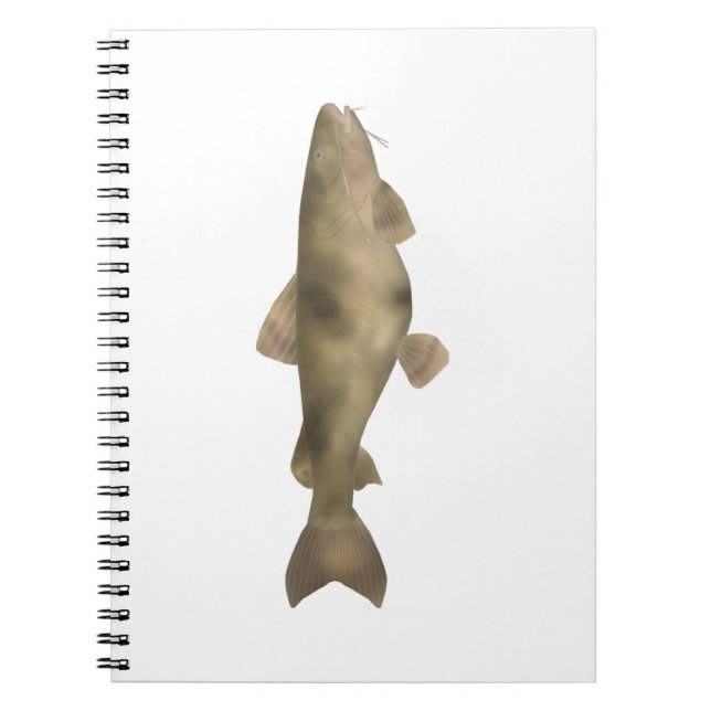Carnet Bagre-sapo (Devant)
