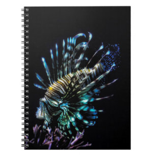 Carnet Baignades de poissons-lions