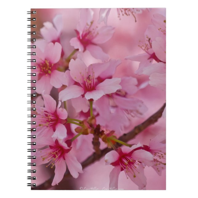Carnet Baigné dans les fleurs de cerisier japonaises rose (Devant)