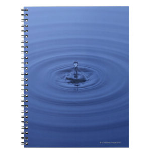Carnet Baisses de l'eau