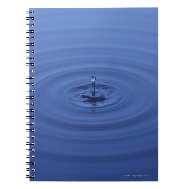 Carnet Baisses de l'eau (Devant)