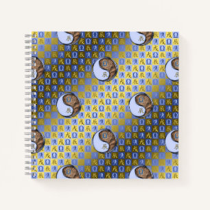 Carnet Balance & Dragon de Terre