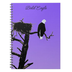 Carnet Bald Eagle at Sunset - Art original de la faune