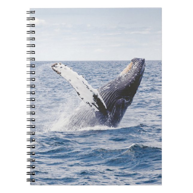 Carnet Baleine Géante Saute De L'Océan (Devant)