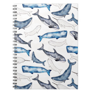 Carnet Baleines d'aquarelle