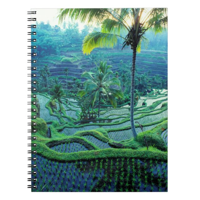 Carnet Bali | Vue d'ensemble des rizières (Devant)