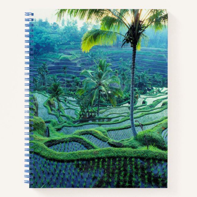 Carnet Bali | Vue d'ensemble des rizières (Devant)