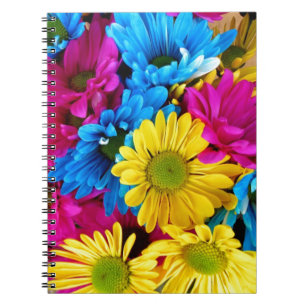Carnet Balises aux couleurs vives