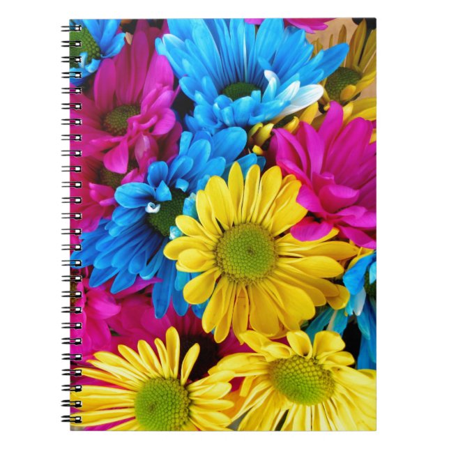 Carnet Balises aux couleurs vives (Devant)