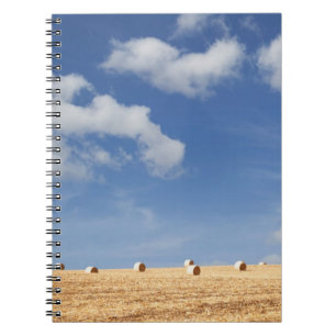 Carnet Balles de foin sur le champ