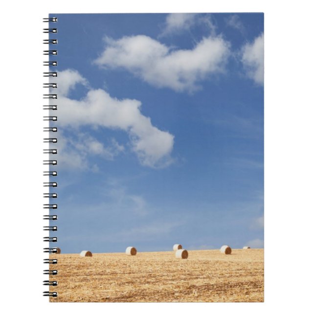 Carnet Balles de foin sur le champ (Devant)