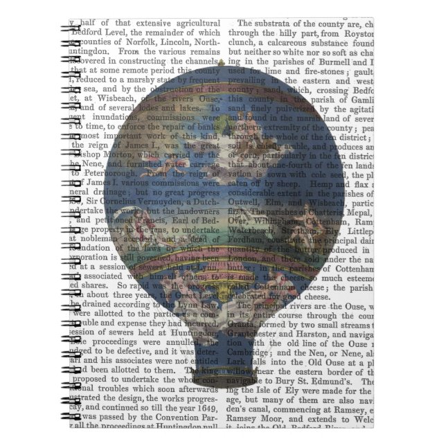Carnet Ballon à air chaud de la machine Solaire (Devant)