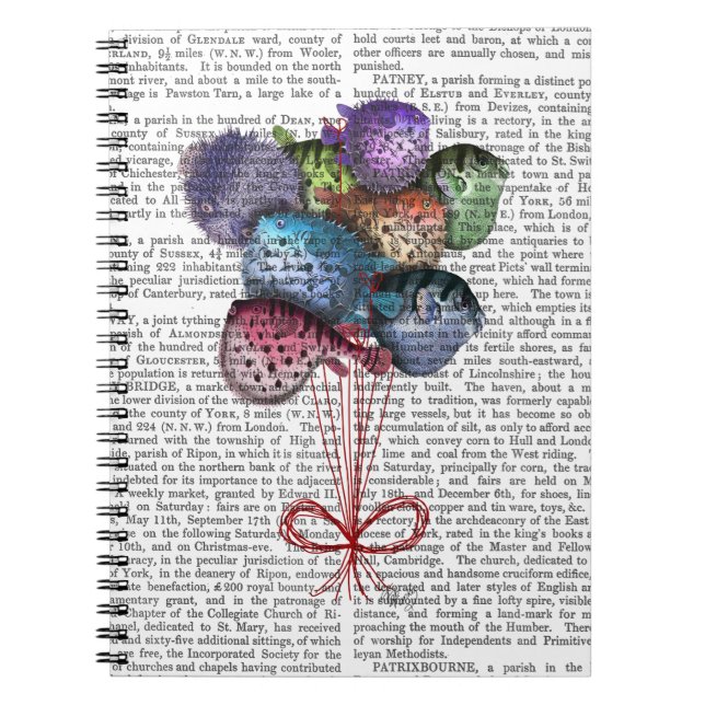 Carnet Ballons à poissons (Devant)