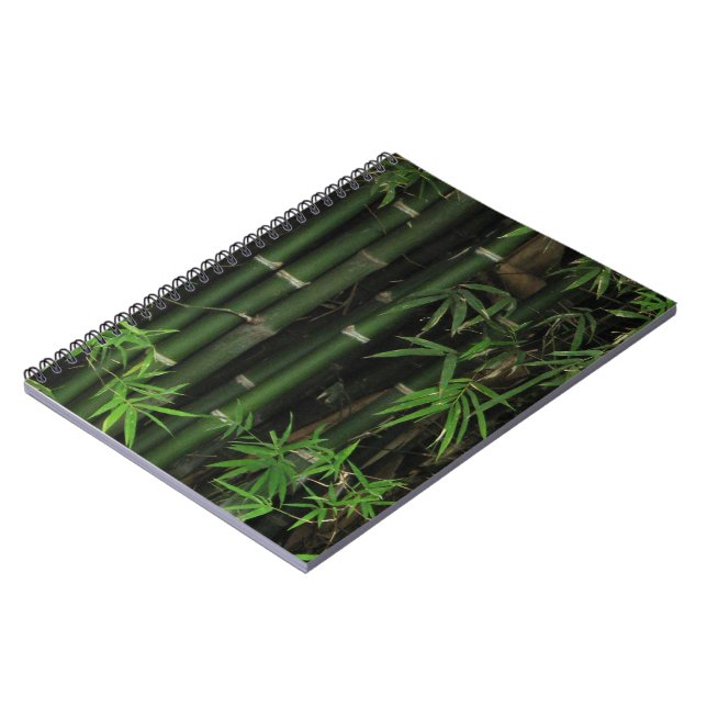 Carnet Bambou... Fao Rai, Nong Khai, Isaan, Thaïlande (Côté gauche)