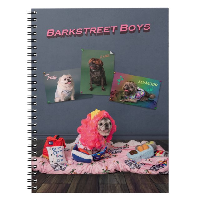 Carnet Bande carlin (Devant)