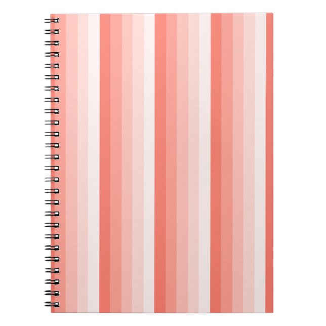 Carnet Bandes d'ombre de pêche corail (Devant)