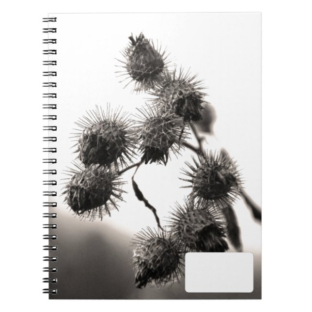 Carnet Bardane séchée (Devant)