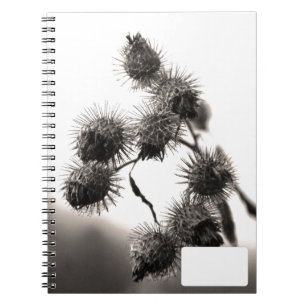 Carnet Barrage sec