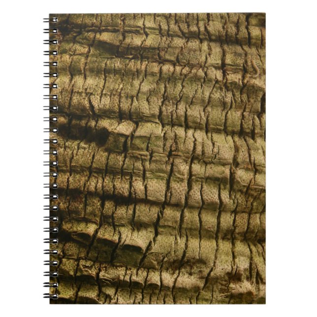 Carnet Barre de palmiers (Devant)