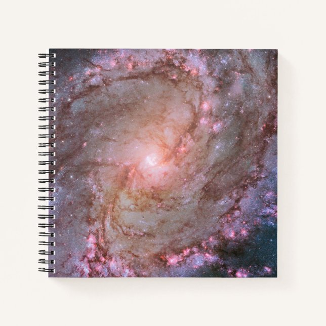 Carnet Barred Spiral Galaxy Messier 83. (Devant)
