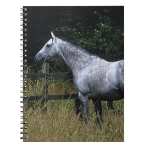 Carnet Barrière se tenante prêt de cheval de pur sang