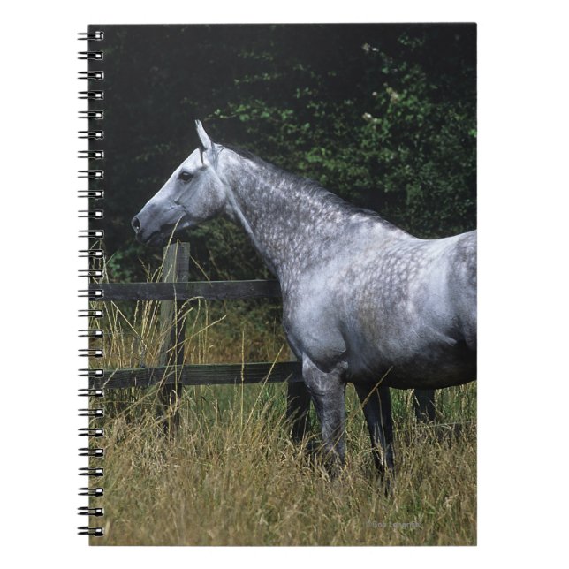 Carnet Barrière se tenante prêt de cheval de pur sang (Devant)