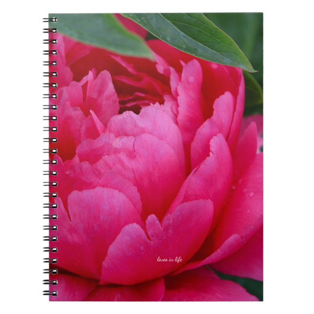 Carnet Bashful Pink Peony (Devant)