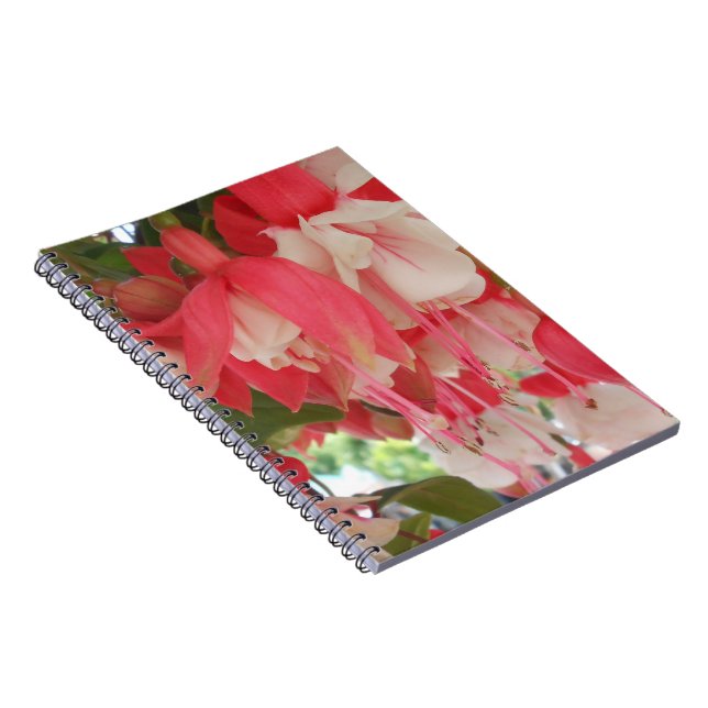 Carnet Bashkirtseff (Côté Droit)