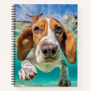 Carnet Basset Hound Animal Chien Animaux Animaux Animaux