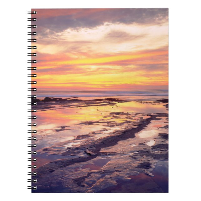 Carnet bassins de marée de Sunset Cliffs (Devant)