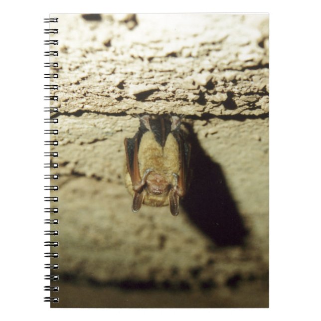 Carnet Bat (Devant)
