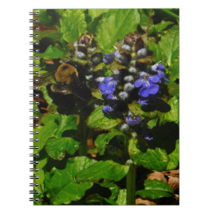 Carnet Baume d'abeille pourpre et bourdon