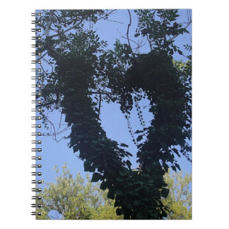 Carnet Baumherz