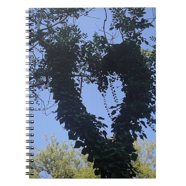 Carnet Baumherz (Devant)