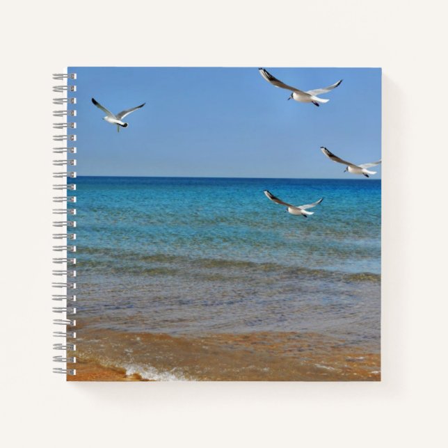 Carnet Beach and Seagulls (Devant)
